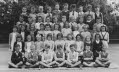 Grade 2 Taylor_Whitters